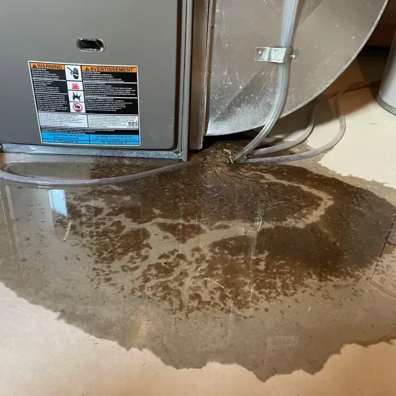 Appliance Leak Cleanup in Labadieville, LA